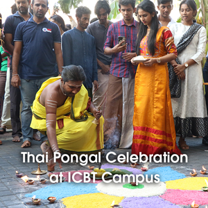 hai Pongal Celebration at ICBT Campus